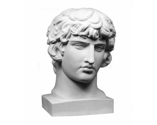 Гипсовая голова Антиной