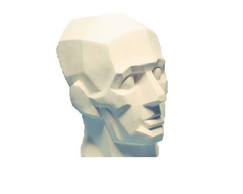 Гипсовая голова Обрубовка симетричная