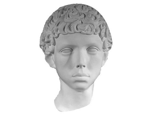 Гипсовая голова Протрет Мальчика Ливийца