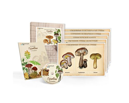 «Грибы». Комбинированное наглядное пособие