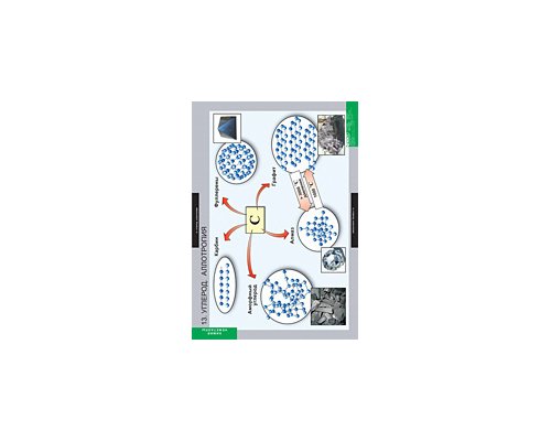 ХИМИЯ Неметаллы