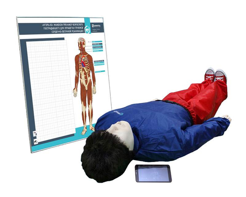 "Игорь-02" манекен-тренажер взрослого пострадавшего для отработки приемов сердечно-легочной реанимации (голова, туловище, конечности) с беспроводным планшетным компьютером и настенным анатомическим табло