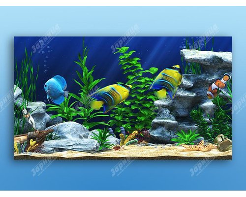 Интерактивный аттракционный комплекс "Водный мир"