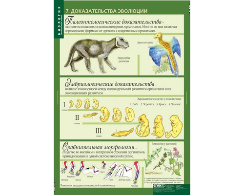 К-т таблиц Биология. 10-11 классы. Эволюционное учение 10 таблиц К-т таблиц Биология. 10-11 классы. Эволюционное учение 10 таблиц