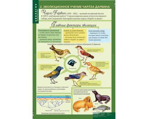 К-т таблиц Биология. 10-11 классы. Эволюционное учение 10 таблиц К-т таблиц Биология. 10-11 классы. Эволюционное учение 10 таблиц