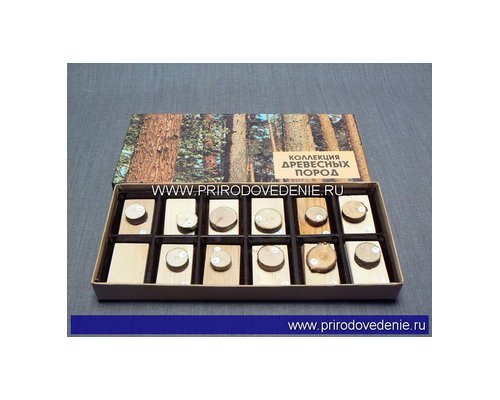 Коллекция "Древесные породы"
