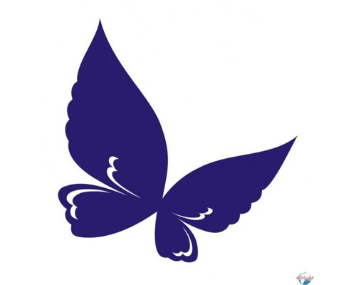 Коллекция энтомологическая "Бабочки для рисования"