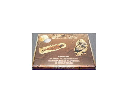 Коллекция "Формы сохранности ископаемых растений и животных"