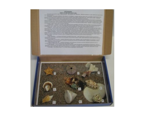 Коллекция "Обитатели морского дна"