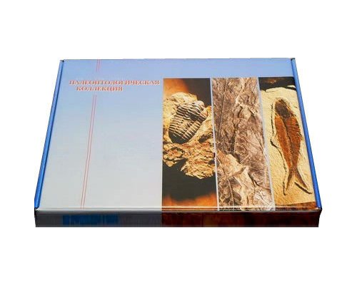 Коллекция "Палеонтологическая" (форма сохранности ископаемых растений и животных)