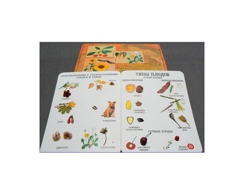 Коллекция "Семена и плоды с раздаточным материалом"