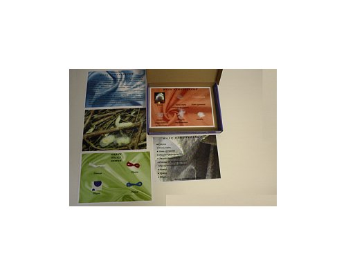 Коллекция "Шелк для начальной школы"