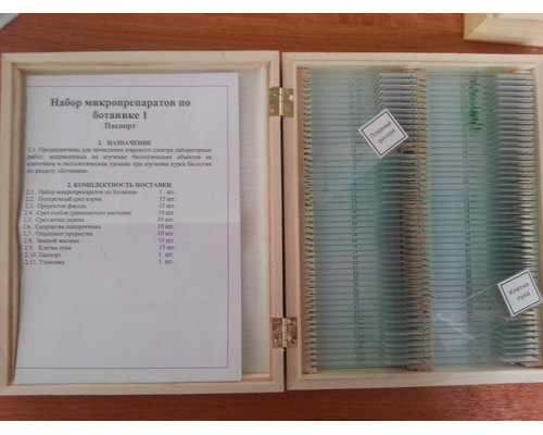 Комплект микропрепаратов "Ботаника 1"