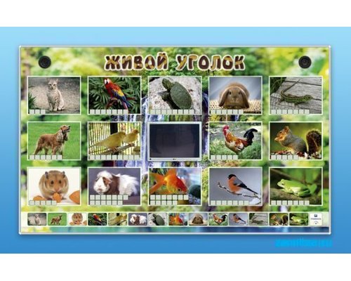 Комплект оборудования "Живой уголок" (животные)