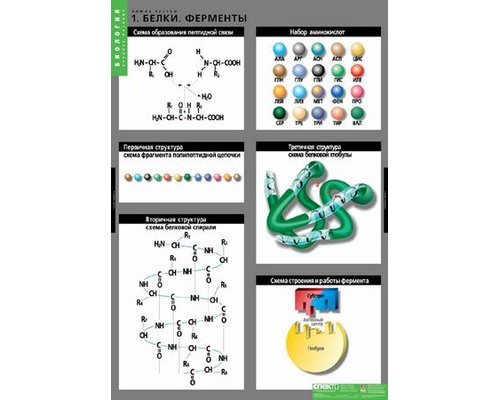 Комплект таблиц "Химия клетки" (3 шт.)