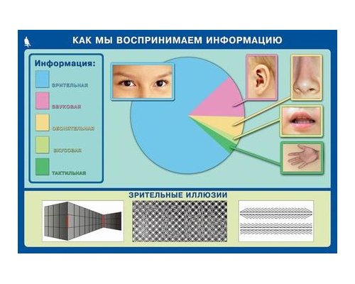 Комплект таблиц. Информатика и ИКТ. 5-7 класс.