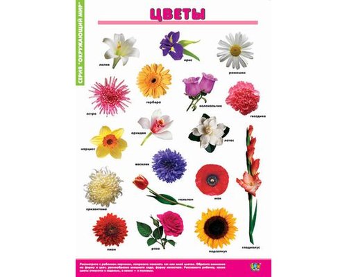 Комплект таблиц "Окружающий мир" (8 таблиц)