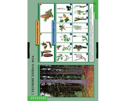 Комплект таблиц "Растения и окружающая среда" (7 шт.)