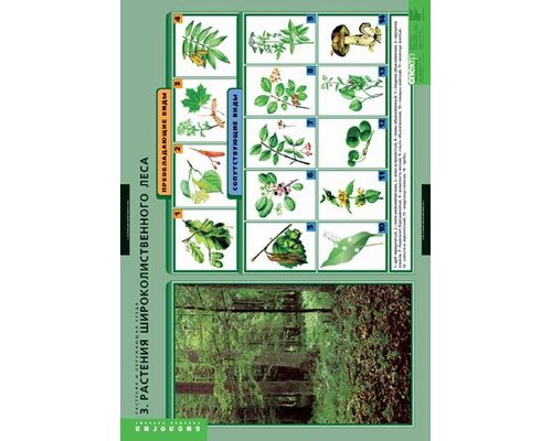 Комплект таблиц "Растения и окружающая среда" (7 шт.)