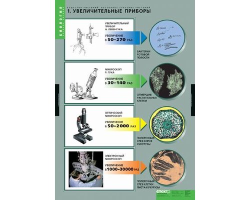 Комплект таблиц "Вещества растений. Клеточное строение" (12 шт.)