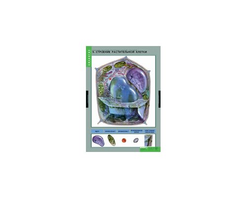 Комплект таблиц "Вещества растений. Клеточное строение" (12 шт.)