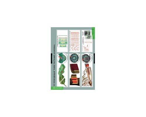 Комплект таблиц "Вещества растений. Клеточное строение" (12 шт.)