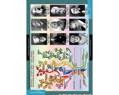 Комплект таблиц "Введение в экологию" (18 шт.)