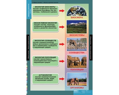 Комплект таблиц "Введение в экологию" (18 шт.)
