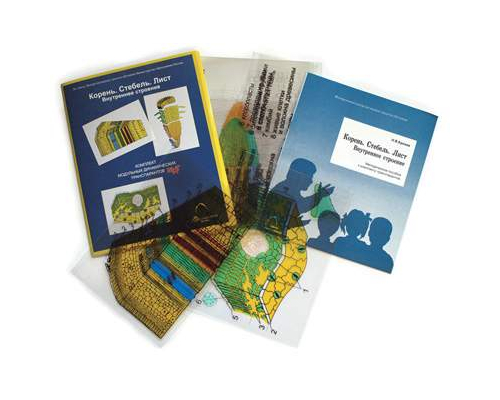 Корень. Стебель. Лист (16 пленок)