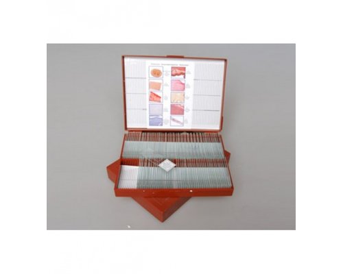 Микропрепараты по Анатомии