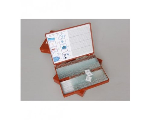 Микропрепараты по Ботанике