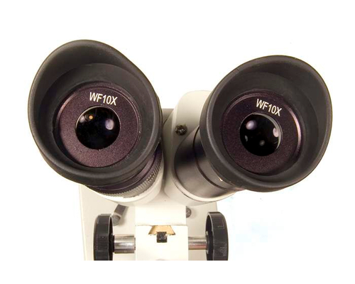 Микроскоп Levenhuk 2ST, бинокулярный