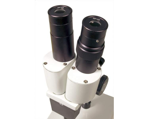 Микроскоп Levenhuk 2ST, бинокулярный