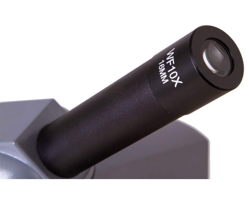 Микроскоп Levenhuk 320 BASE, монокулярный