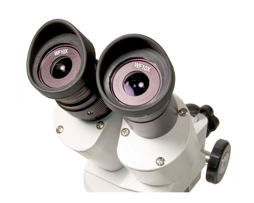 Микроскоп Levenhuk 3ST, бинокулярный