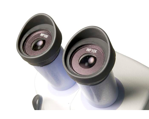 Микроскоп Levenhuk 5ST, бинокулярный