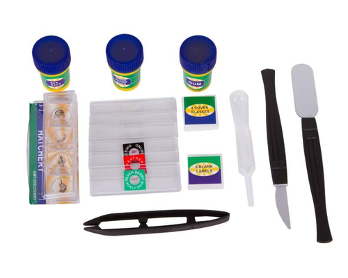 Микроскоп Levenhuk LabZZ M2