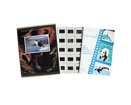 Млекопитающие (100 шт)