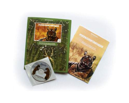 Млекопитающие