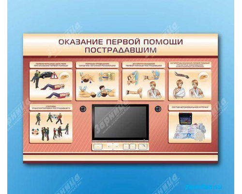 Многофункциональный интерактивный стенд-тренажер "Оказание первой помощи пострадавшим" для учащихся общеобразовательных учреждений