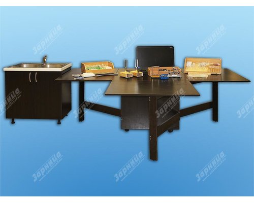 Многофункциональный мобильный лабораторный комплекс для малокомплектных школ по предметам физика, химия, биология