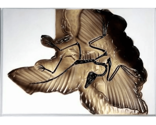 Модель барельефная "Археоптерикс"