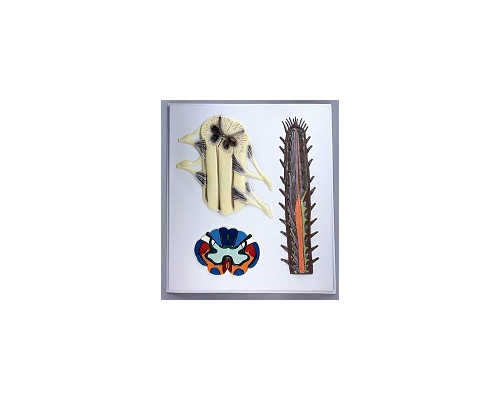 Модель барельефная "Строение спинного мозга"