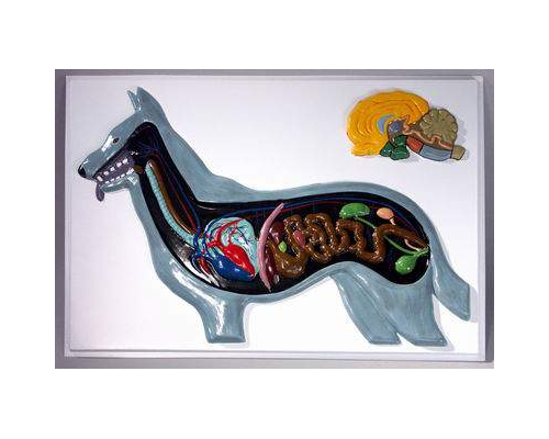 Модель барельефная "Внутреннее строение собаки"