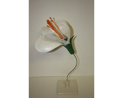 Модель Цветок гороха