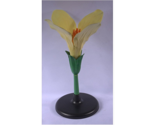 Модель "Цветок капусты"