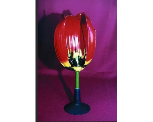 Модель "Цветок тюльпана"