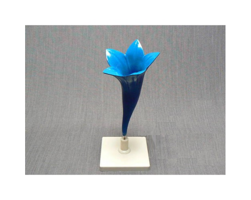 Модель "Цветок василька"