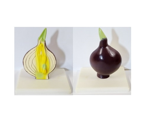 Модель "Луковица в разрезе"