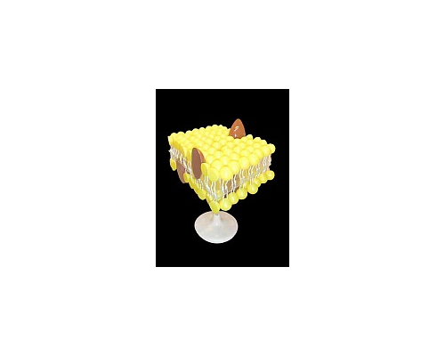 Модель "Строение клеточной оболочки"